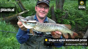 Шеды и Щуки маленькой речки. Александр Рыжов.