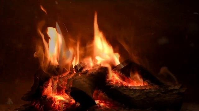 Как правильно себя вести, чтобы всегда быть в центре внимания. Все будут тебя обожать