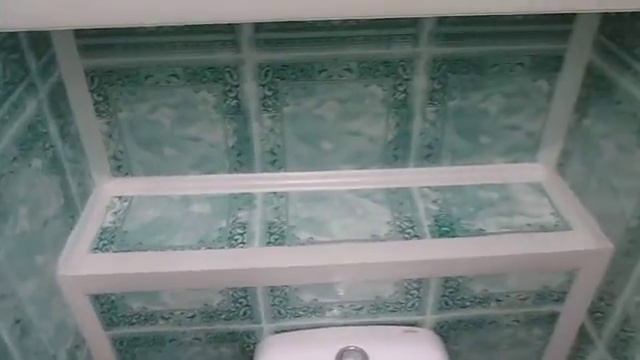 Отделка туалета "Барон зеленый" с полками смотреть онлайн