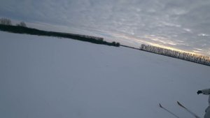 3 зайца с куста. Охота на зайца тропление по снегу 2022