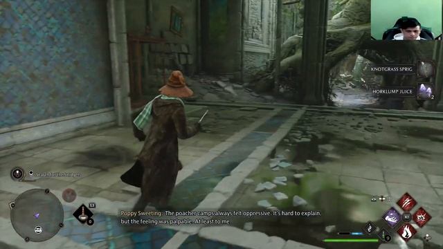 Hogwarts Legacy - A Bird In The Hand Puzzle Solution смотреть онлайн