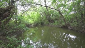 Голавль на воблеры на Оке в Орловской области