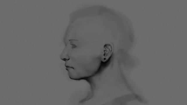 Portrait #3|GIMP Speed Painting смотреть онлайн