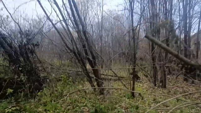 пришли в багародицу ,в которой никто не был 200 лет?!??️? смотреть онлайн