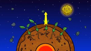 ПРОФЕССОР ПОЧЕМУШКИН - Откуда семечко знает, куда ему расти? - Мультики для детей