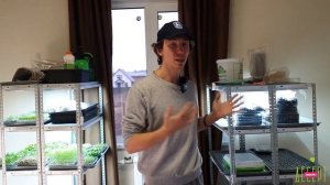 Обновление нашей Сити-фермы микрозелени. Профессиональное освещение.