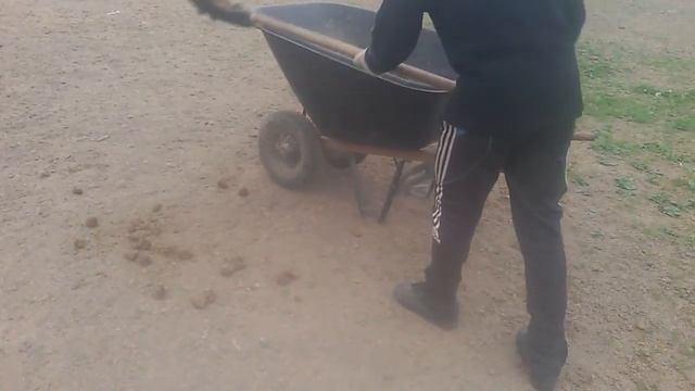 Как собирается чистый конский навоз в левадах смотреть онлайн