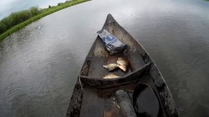 проверка сетей