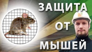 ? Мыши в каркасном доме ? Как защитить каркасный дом от мышей?