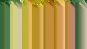 Удивительные летние цвета в 8K HDR