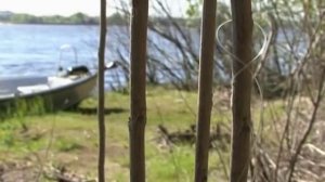 Хищник неспортивно 4. "Резинка" (ловля на донку с резиновым аммортизатором