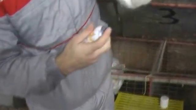 14 Пододерматит смотреть онлайн