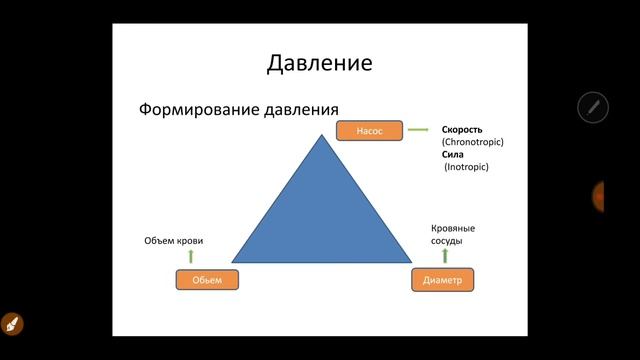 Основы Экг. Урок 1 Введение смотреть онлайн