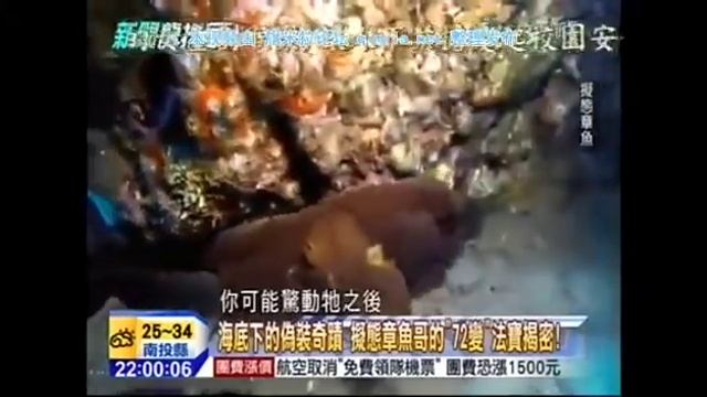 新闻龙卷风2015 06 08 qimila net 旗米拉论坛 смотреть онлайн