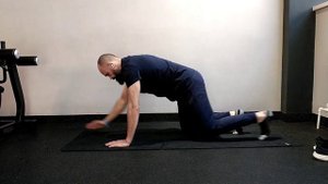 Планка на предплечьях 2*30сек.         Подъём противоположной руки-ноги 2*15