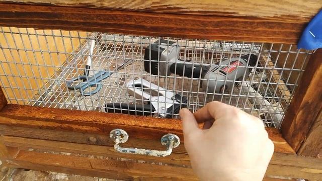 Брудер для цыплят  Своими руками. Автономный птичник