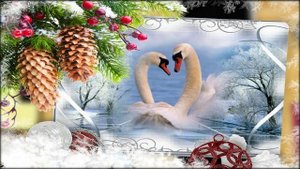 Не могут жить в разлуке лебеди