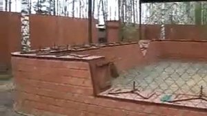Бой собаки с лисой 2 (окончание)