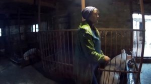 ✓ НАШ Эксперимент с китайскими бактериями  продолжается_ Исправляем допущенные ошибки