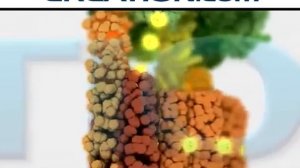 АТФ-синтаза