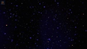 Рождество   (Много было в небе звезд Теплой ночью ясной.)