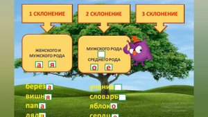 Три склонения имён существительных