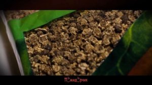 Семена Свекла кормовая "Урсус Поли" - Помидорчик