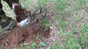 Поиск монет в лесу на панской усадьбе!!!