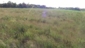 косим мтз80 +косилка виракс