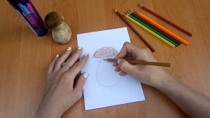 Как нарисовать белый гриб (4-7 лет) | Рисуем с Лохматиком