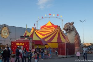 Цирк Шапито в Ростове-на-Дону