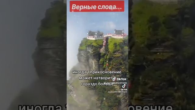 Верные слова.? Послушайте и каждый человек отвечает за свои поступки. смотреть онлайн