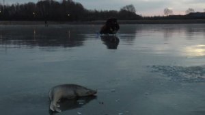 Ловля щуки на реке Свияга