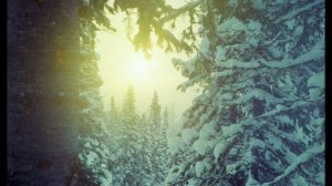 Горная Шория - 1995.mp4