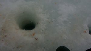Зимняя рыбалка на водохранилище Яузское. 2022