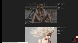 Indigo - Fashion Photographer Responsive Multipage Website Template T