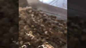 Работа грохота