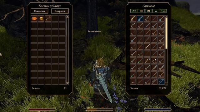 Кто такой Денис и другие квесты в Готе - Прохождение Готика 3 с Умной Сборкой Модов #61