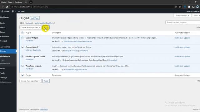 How To Turn On Automatic Updates for Plugins in WordPress