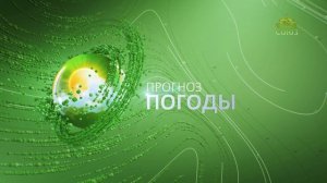 Прогноз погоды на 11 августа 2024