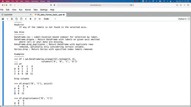 Programming Essentials Python - Overview of Pandas Libraries - Data Frames - Basic Operations