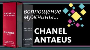 CHANEL ANTAEUS — МУЖЕСТВЕННОСТЬ ВО ФЛАКОНЕ! А может, и для девочек? // Perfume Review