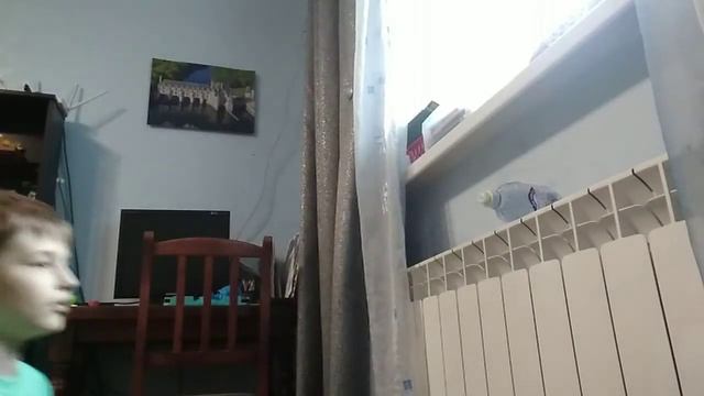 пытаюсь сделать BOTTLE FLIP CHALLENGE!!! смотреть онлайн