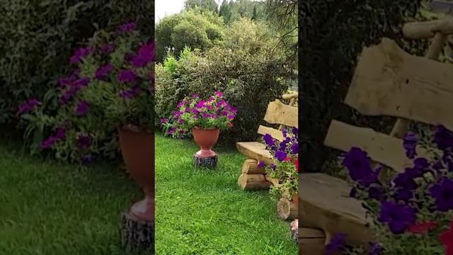 Прогулка по саду.?