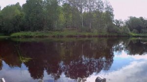 "Рыбалка" на Ивинском разливе / Перевернулся и утопил мотор / Свирь