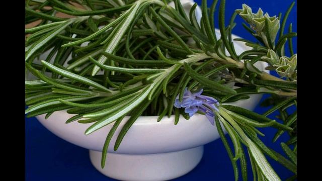 Изготовление зубного порошка в домашних условиях (№2) смотреть онлайн