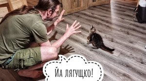 В Совиный дол упоротых зоологов подвезли! и Егора! Сыч Лучик наводит утреннюю суету