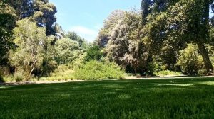 Советы по туризму в городе Аделаида Австралия