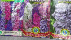 Дельфиниум, однолетний,многолетний-как посеять?