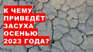 К чему приведёт засуха осенью 2023 What will the abnormal drought lead to in the fall of 2023